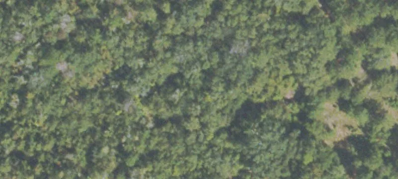 135 Belle Cutoff Rd