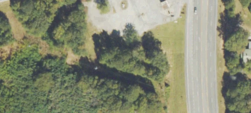 4131 Hwy 19th S