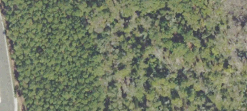 6 Dot Barn Rd