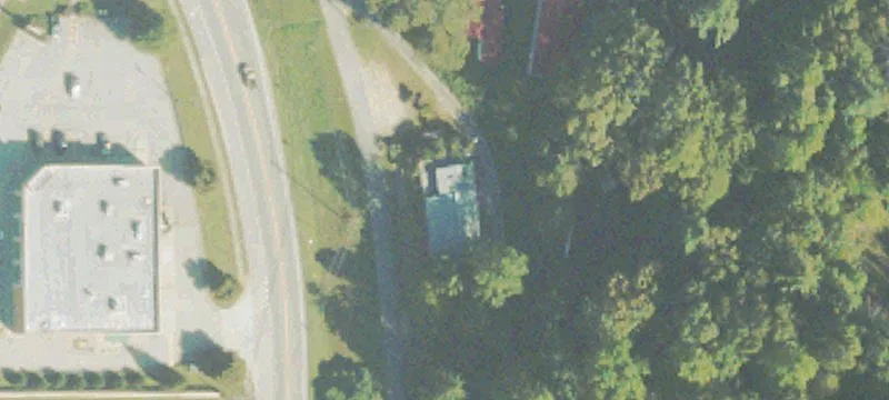 29 Falcon St