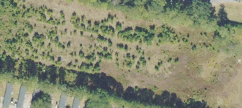 1135 Oglethorpe Hwy