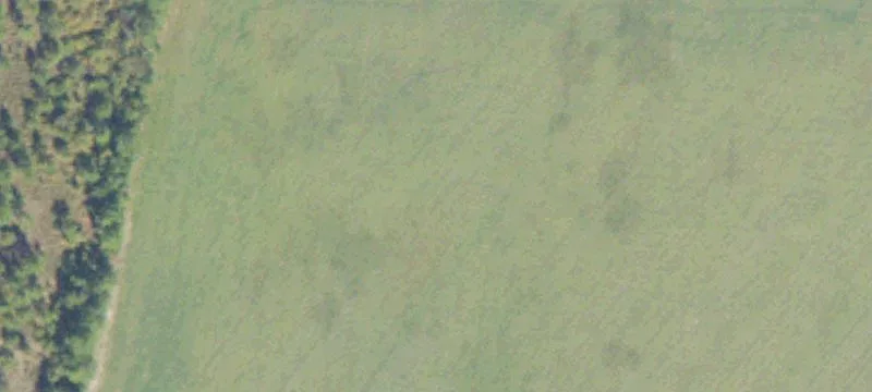 Douglas, GA 31535