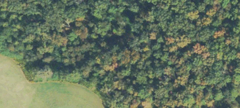 140 Cateechee Trl