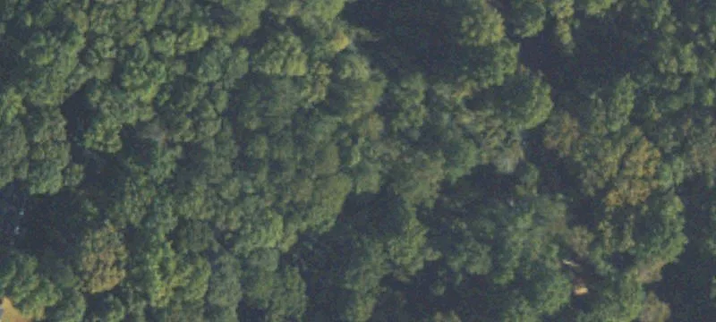 Peachtree Cors Cir