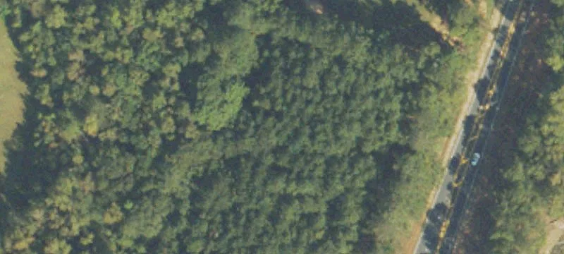 Sharpsburg, GA 30277