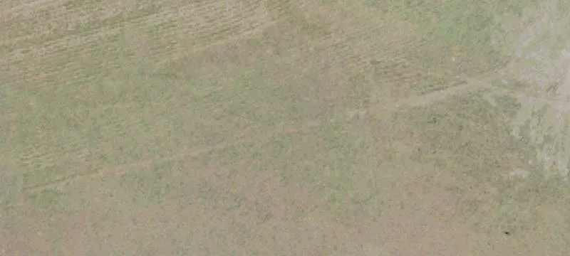 4820 Flds Xing Rd