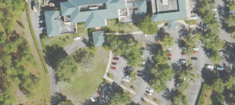 401 Image Ln