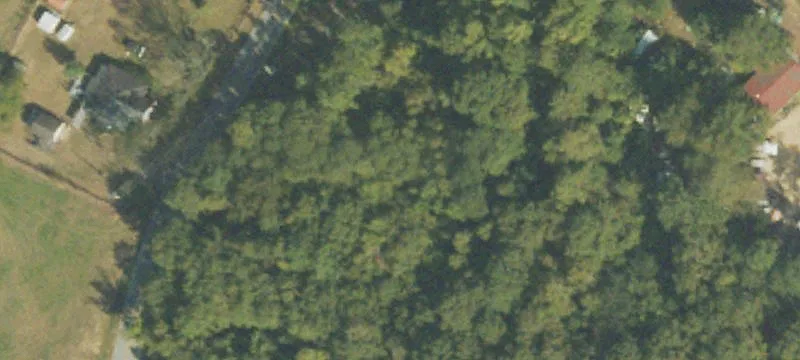 2255 Ga Hwy 219