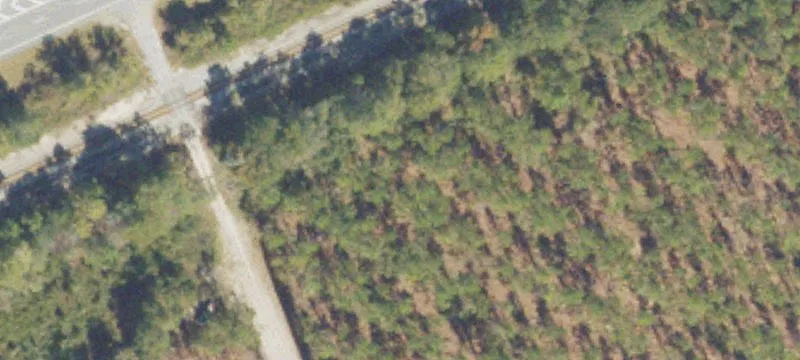 Buck Rd, GA