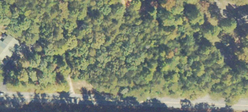 6003 Hwy 356