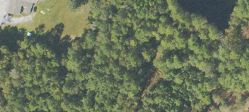 Hwy 301