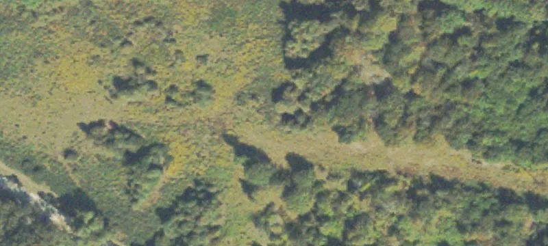 Wheeler Cemetery Rd