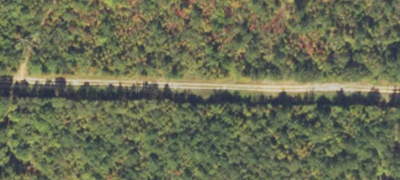 Bucksnort Rd