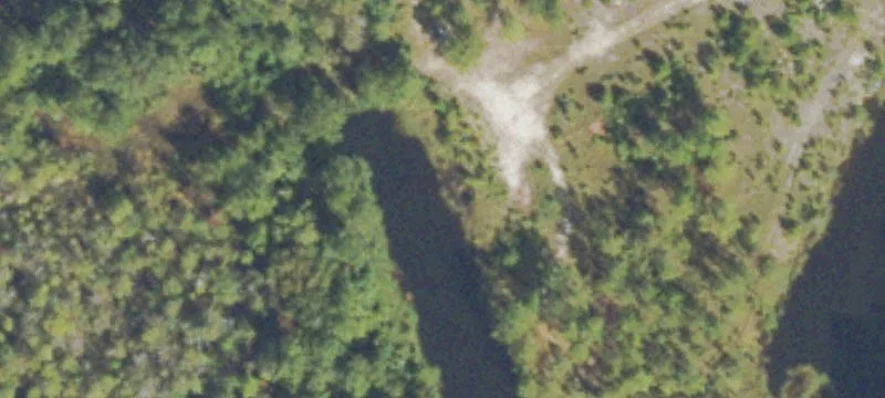 Woodbine, GA 31569
