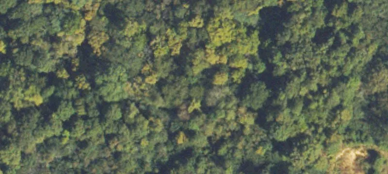 Ohio Dr