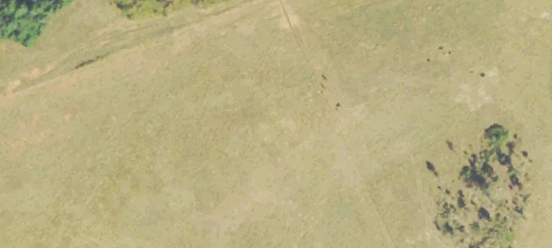 6941 Duncan Brg Rd