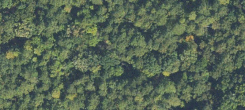 Avery Rd