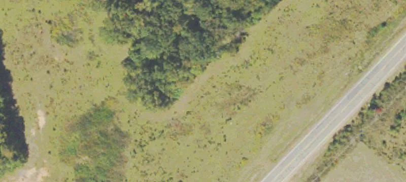 Greensboro Rd