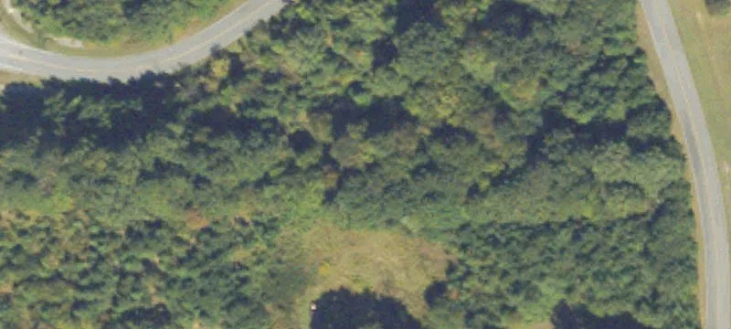 Carlton Dr