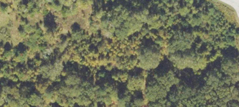 Walker Pkwy