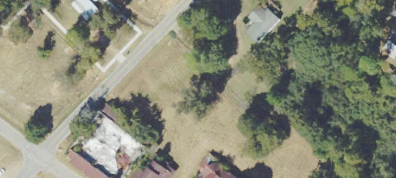 Turpentine Dr