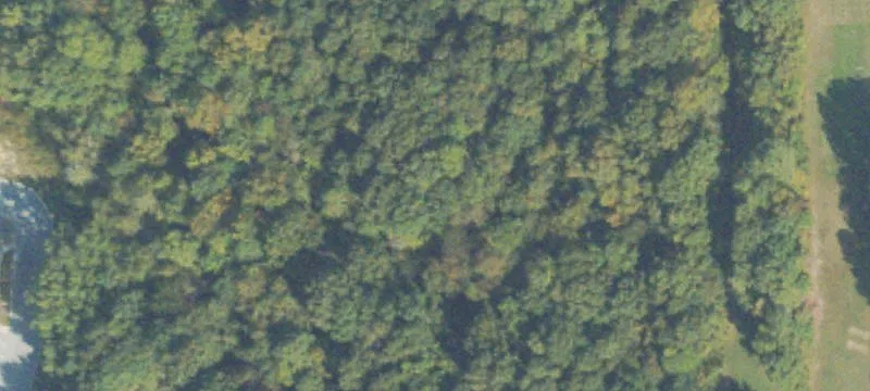 Battlefield Pkwy