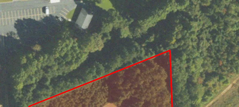 420 Silver Leaf Ct