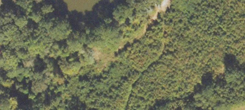 445 Liberty Rd