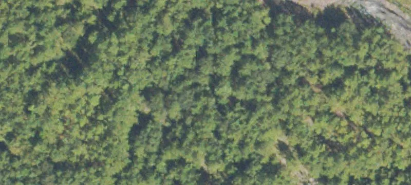 Woodbine, GA 31569
