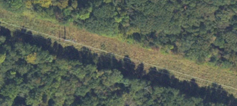 Lewis Rd