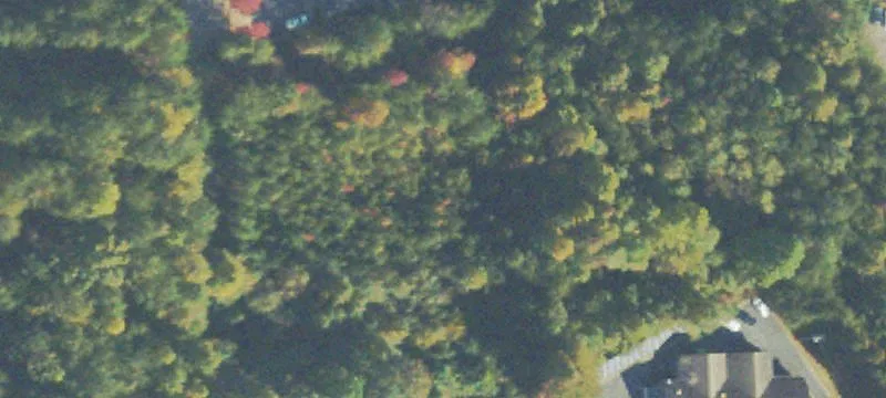 Crown Mtn