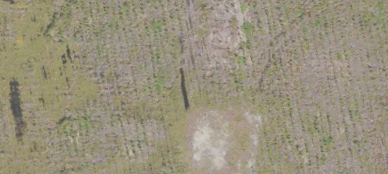 Woodbine, GA 31569