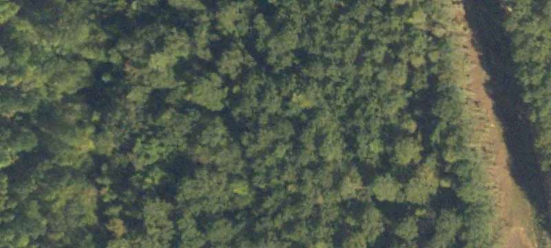 County Line Rd, GA 