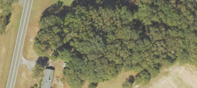 Whitehouse Pkwy