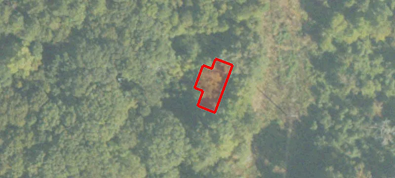 6605 Borum Spgs Rd