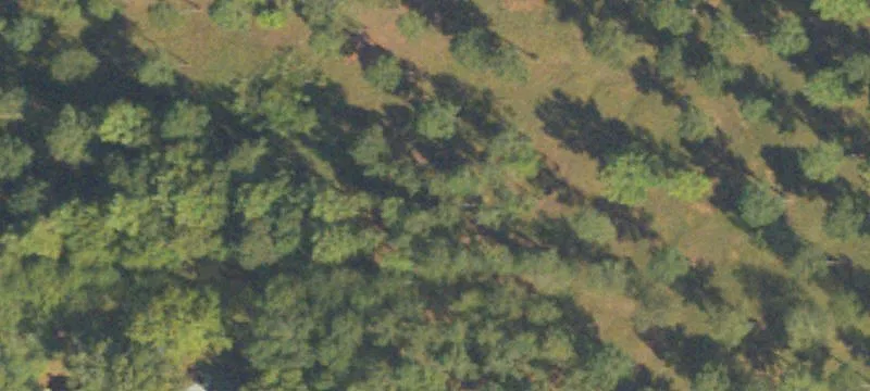 County Line Rd, GA 