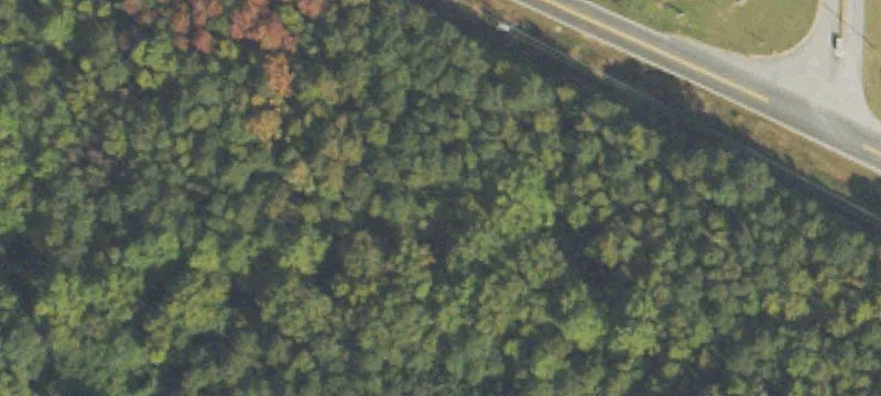 Mcintosh Rd