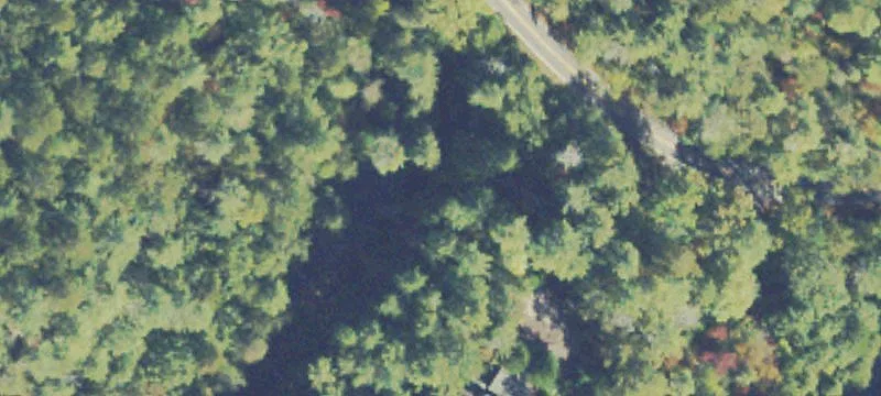 8145 Hwy 197th N