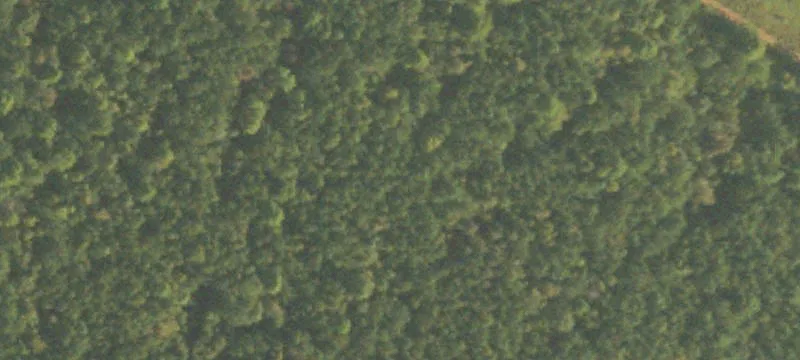Callaway Airport Rd