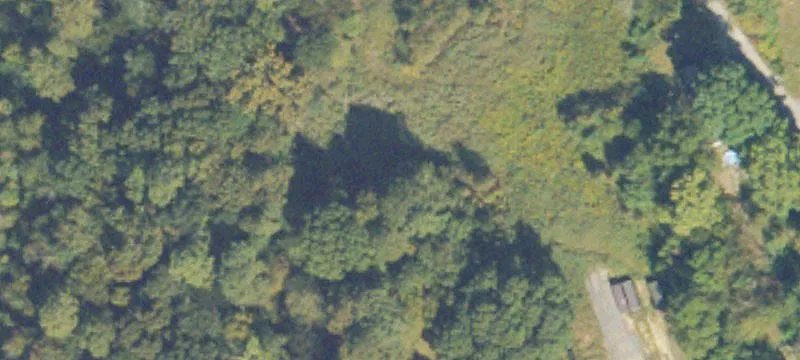 Carbondale Rd