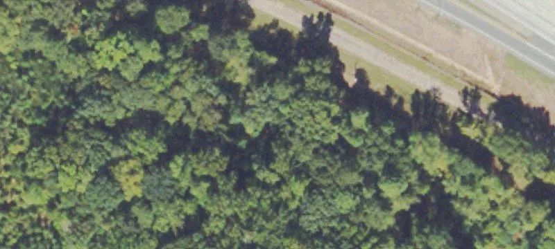 Willingham Pond Dr