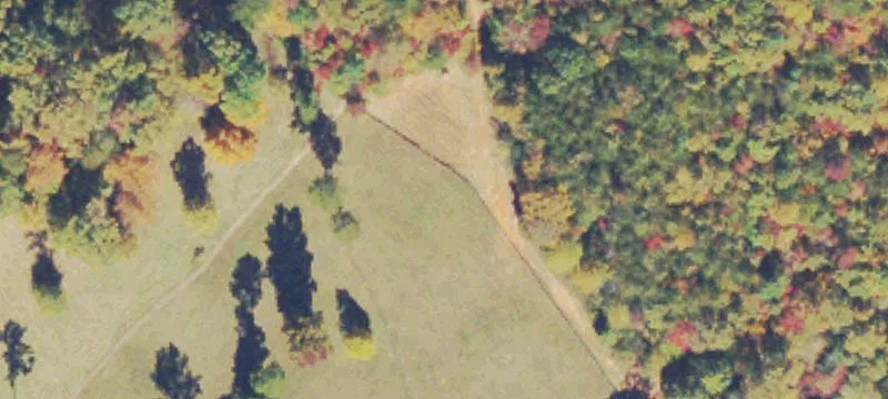 604 Cabin Crk Dr