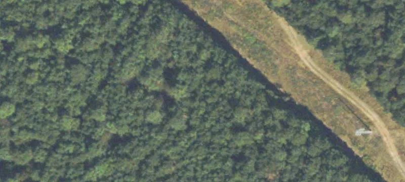 Edwin Reynolds Rd