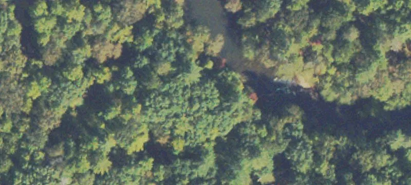 Delta Ln