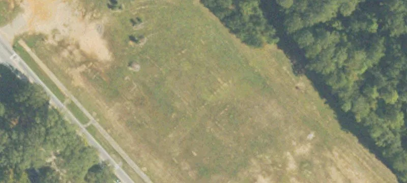 Palmetto Rd
