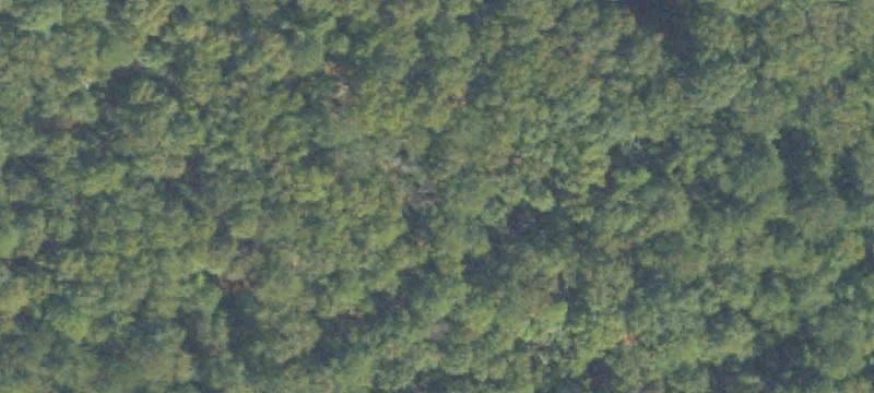 Pinehill