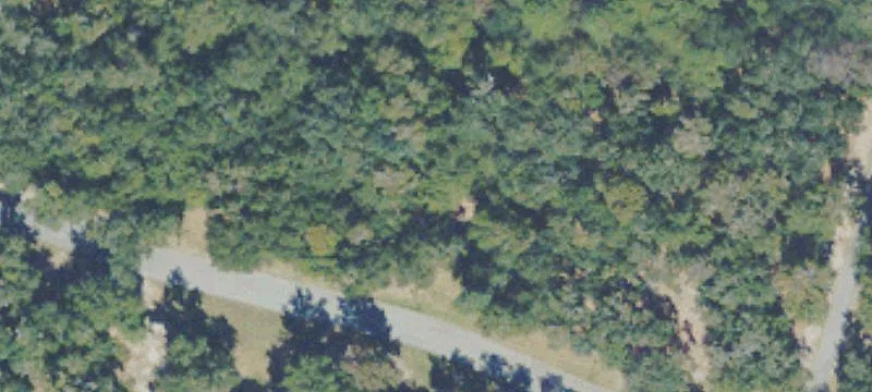 Fig Tree Rd