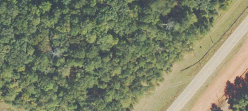 Hwy 278