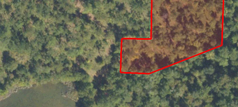 Blakely, GA 39823