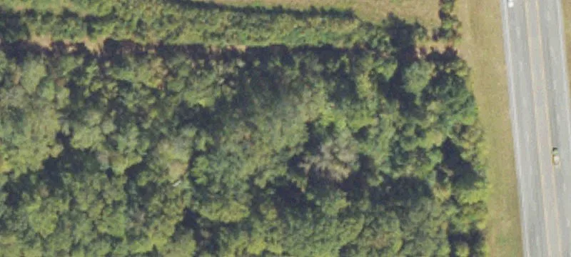 Us Hwy 19